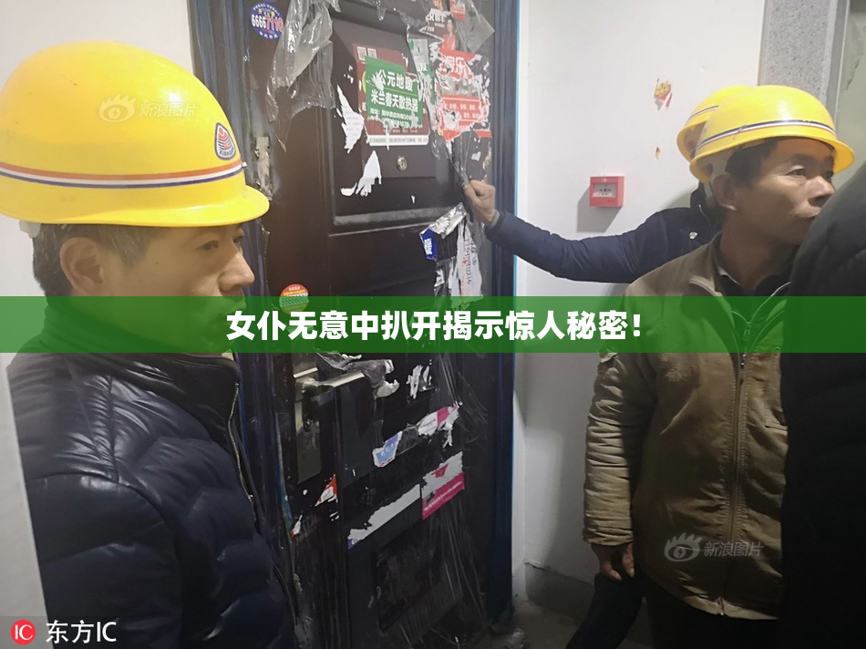 女仆无意中扒开揭示惊人秘密！