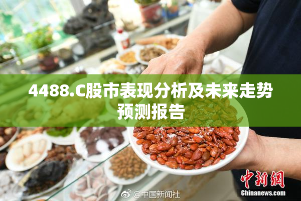4488.C股市表现分析及未来走势预测报告