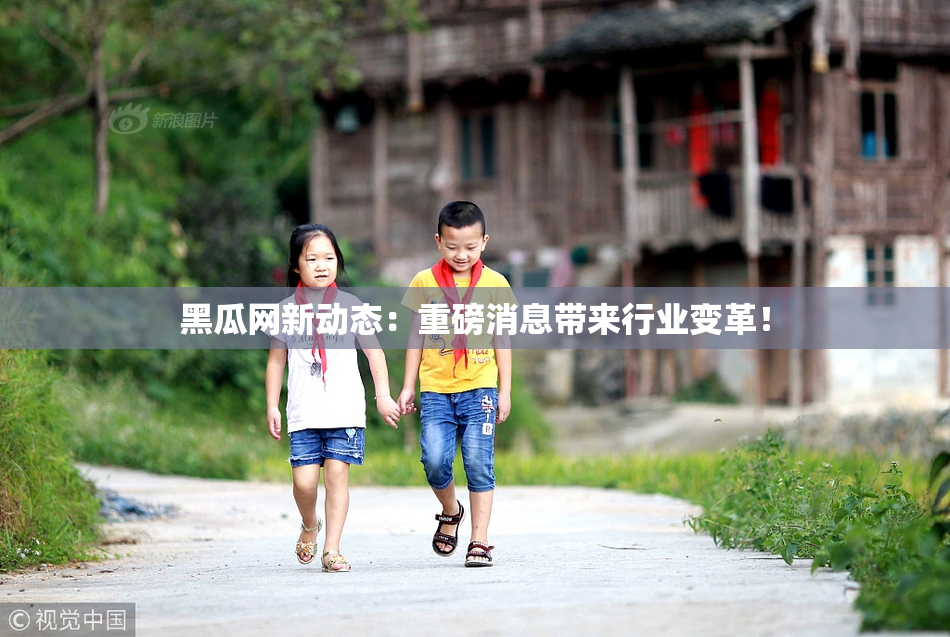 黑瓜网新动态：重磅消息带来行业变革！