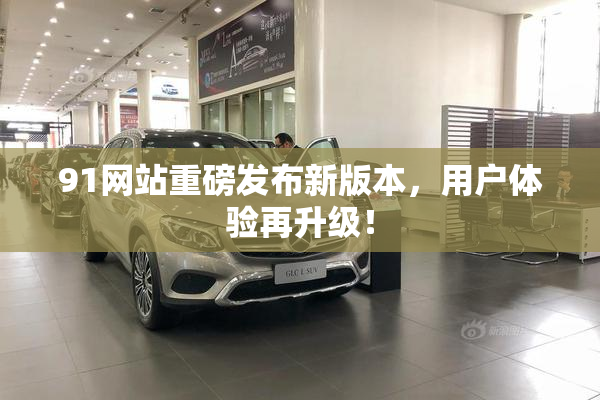 91网站重磅发布新版本，用户体验再升级！