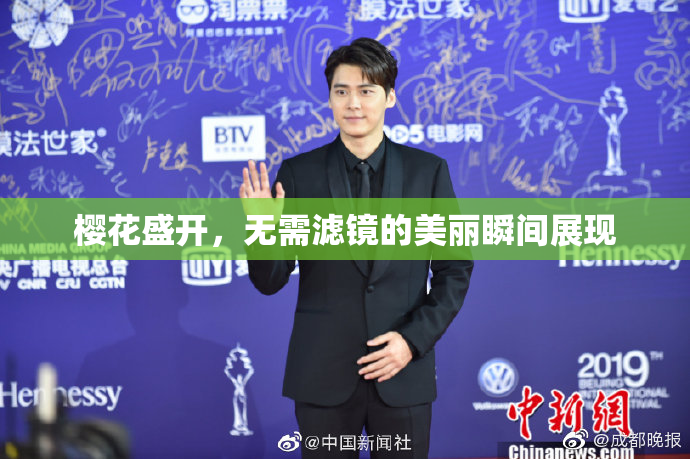 樱花盛开，无需滤镜的美丽瞬间展现