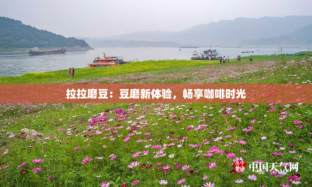 拉拉磨豆：豆磨新体验，畅享咖啡时光