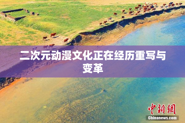 二次元动漫文化正在经历重写与变革