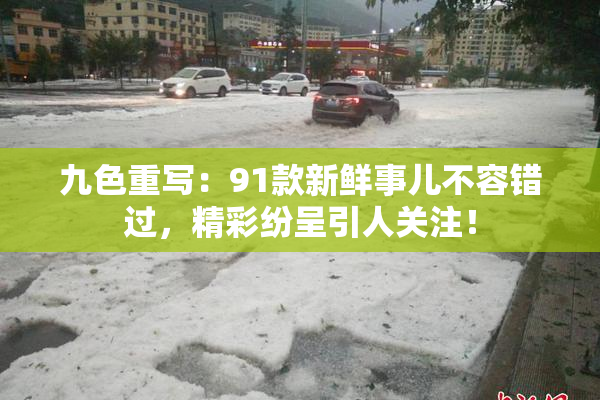 九色重写：91款新鲜事儿不容错过，精彩纷呈引人关注！