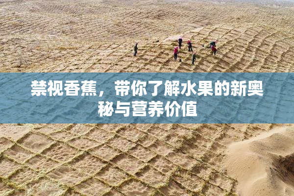 禁视香蕉，带你了解水果的新奥秘与营养价值