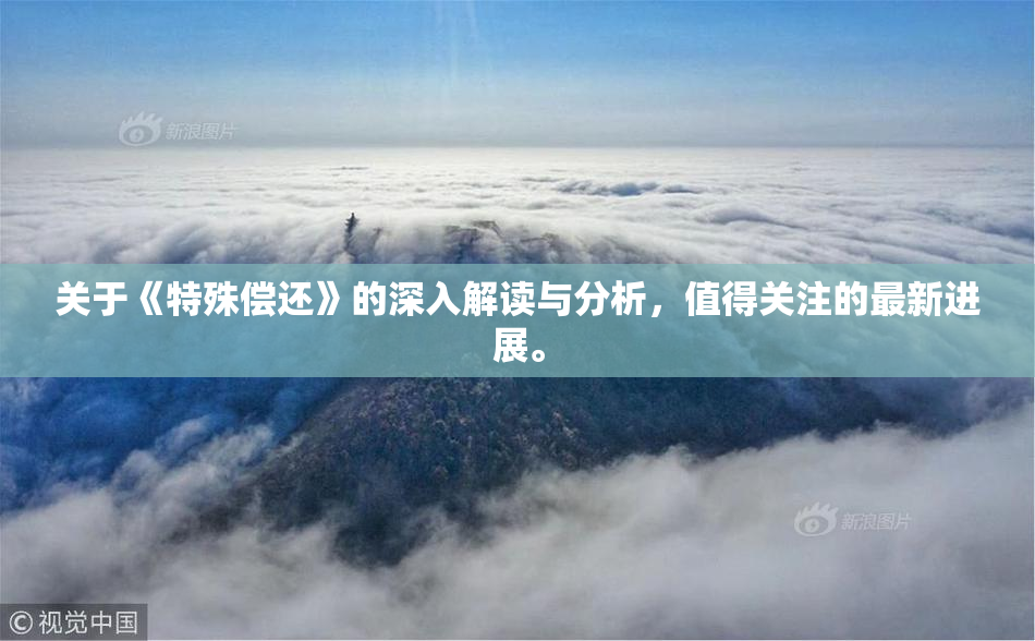 关于《特殊偿还》的深入解读与分析，值得关注的最新进展。