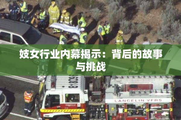妓女行业内幕揭示：背后的故事与挑战