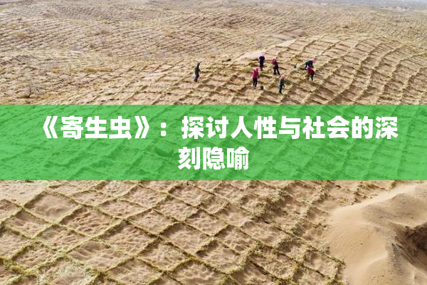 《寄生虫》：探讨人性与社会的深刻隐喻