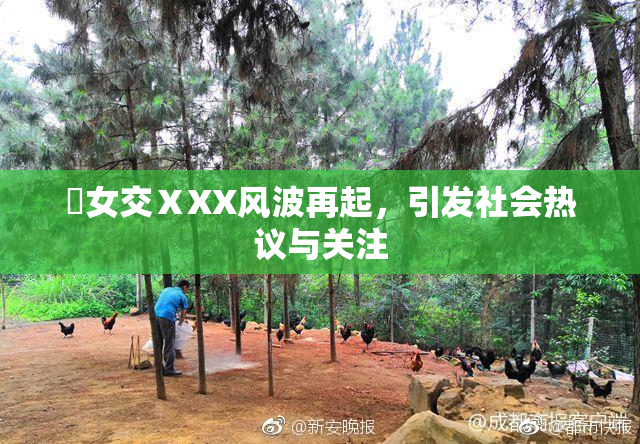 乣女交ⅩXX风波再起，引发社会热议与关注