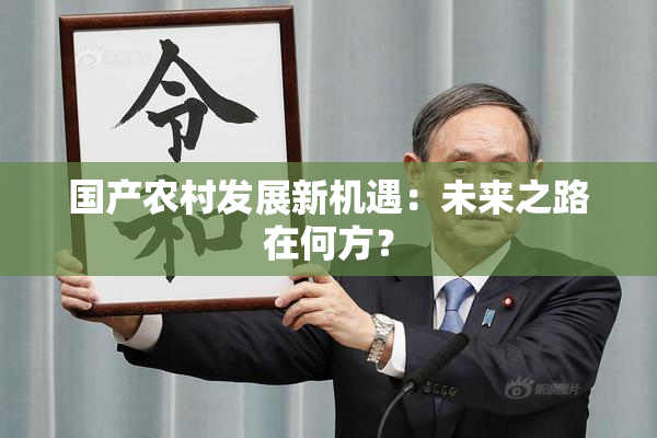 国产农村发展新机遇：未来之路在何方？