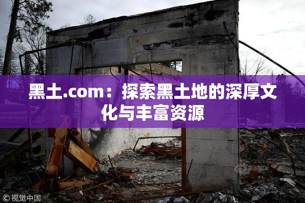 黑土.com：探索黑土地的深厚文化与丰富资源