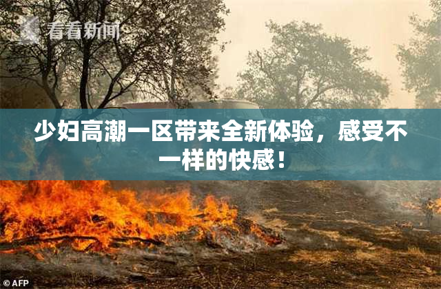 少妇高潮一区带来全新体验，感受不一样的快感！