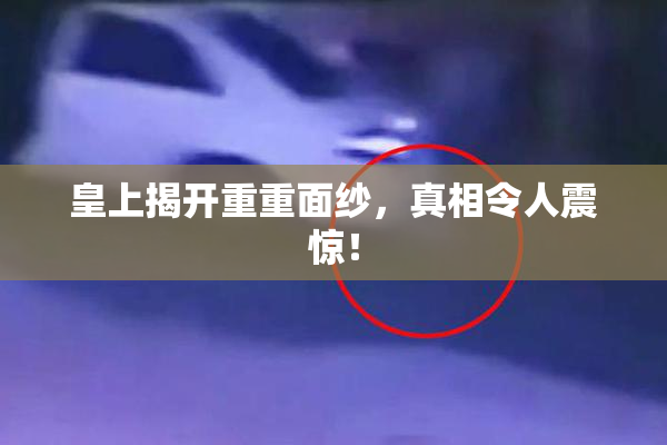 皇上揭开重重面纱，真相令人震惊！