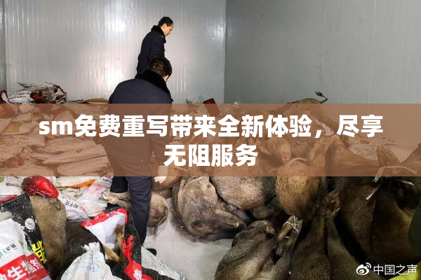 sm免费重写带来全新体验，尽享无阻服务