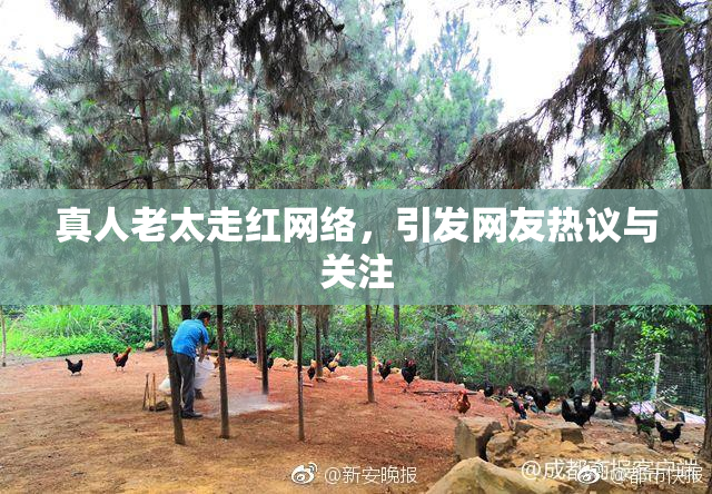真人老太走红网络，引发网友热议与关注