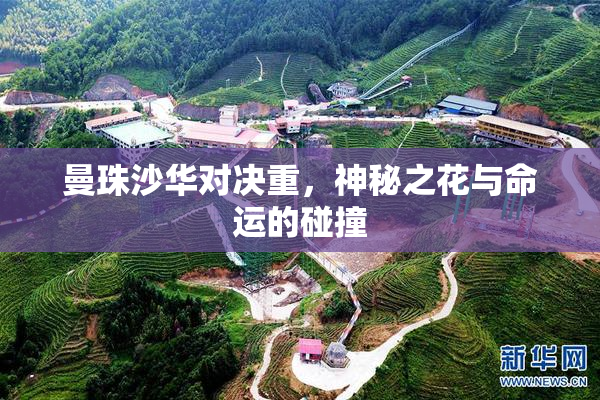 曼珠沙华对决重，神秘之花与命运的碰撞