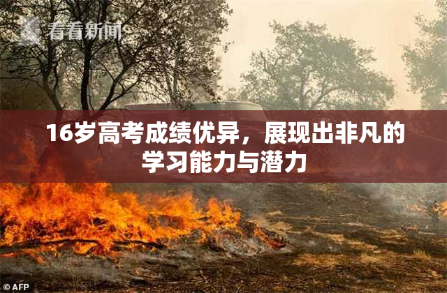 16岁高考成绩优异，展现出非凡的学习能力与潜力