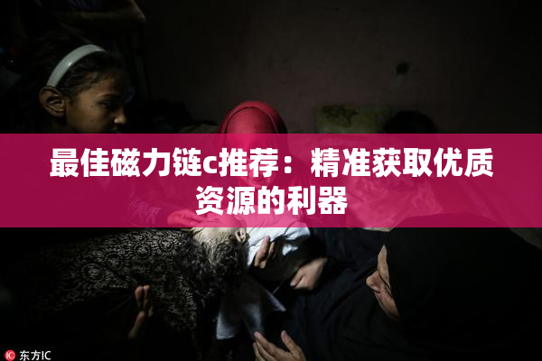 最佳磁力链c推荐：精准获取优质资源的利器
