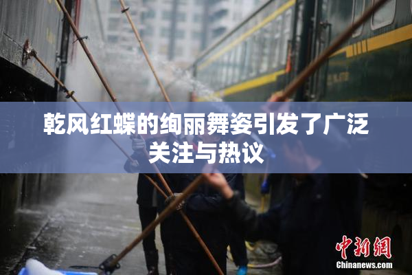 乾风红蝶的绚丽舞姿引发了广泛关注与热议
