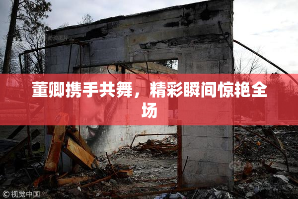董卿携手共舞，精彩瞬间惊艳全场
