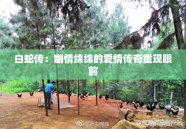 白蛇传：幽情绵绵的爱情传奇重现眼前