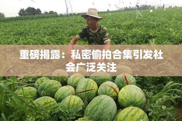 重磅揭露：私密偷拍合集引发社会广泛关注