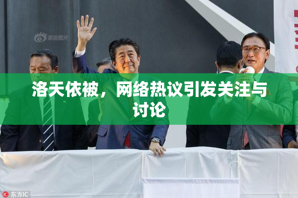 洛天依被，网络热议引发关注与讨论