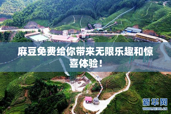 麻豆免费给你带来无限乐趣和惊喜体验！