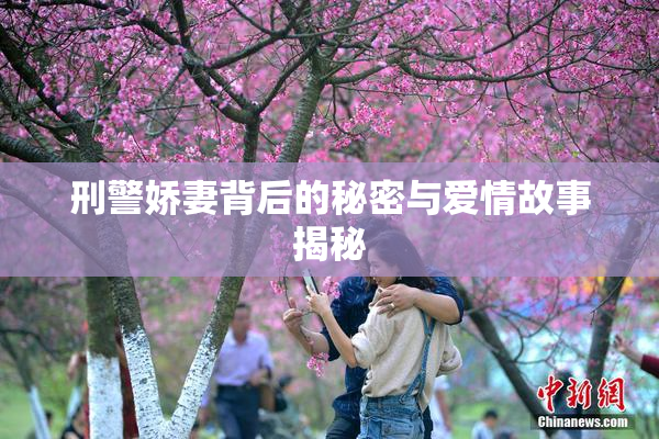 刑警娇妻背后的秘密与爱情故事揭秘