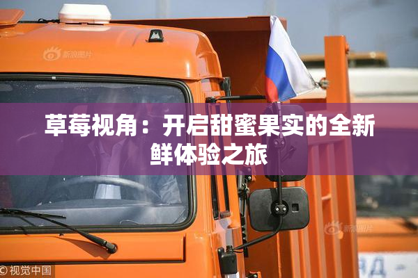 草莓视角：开启甜蜜果实的全新鲜体验之旅