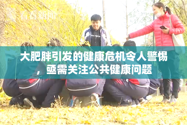 大肥胖引发的健康危机令人警惕，亟需关注公共健康问题