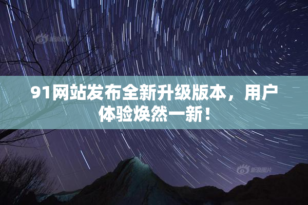 91网站发布全新升级版本，用户体验焕然一新！