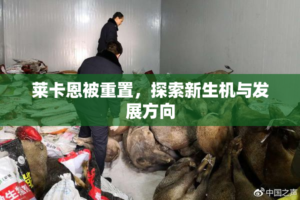 莱卡恩被重置，探索新生机与发展方向