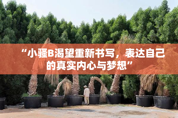 “小骚B渴望重新书写，表达自己的真实内心与梦想”