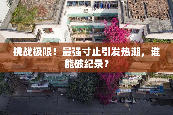 挑战极限！最强寸止引发热潮，谁能破纪录？