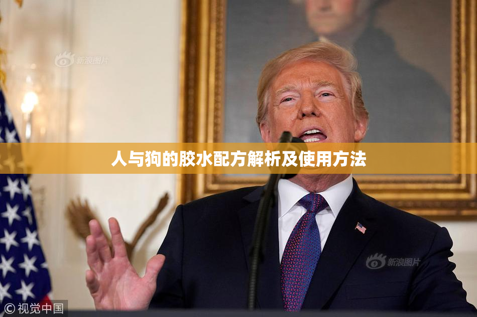 人与狗的胶水配方解析及使用方法