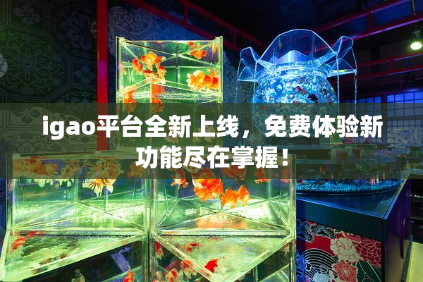 igao平台全新上线，免费体验新功能尽在掌握！