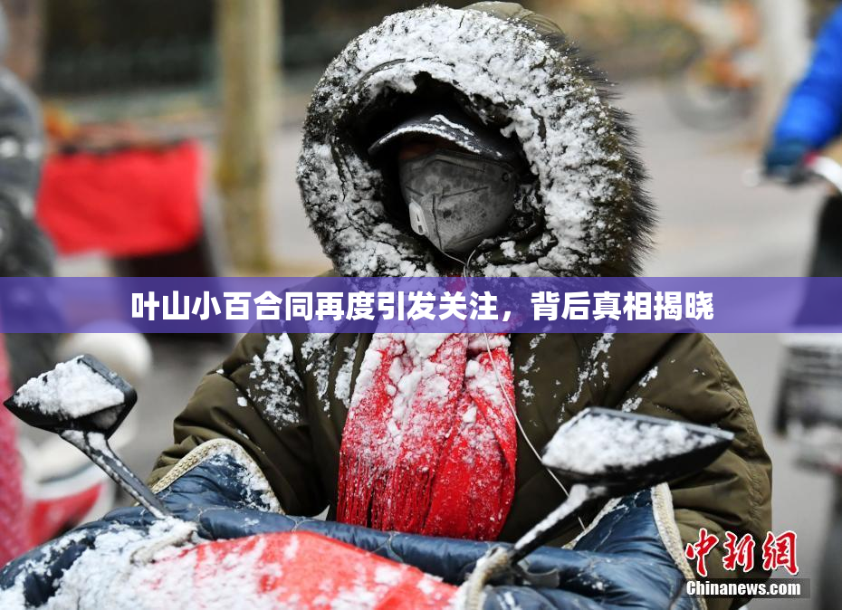 叶山小百合同再度引发关注，背后真相揭晓