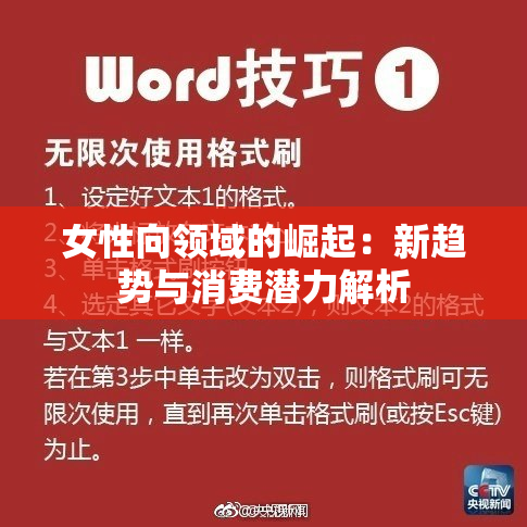 女性向领域的崛起：新趋势与消费潜力解析