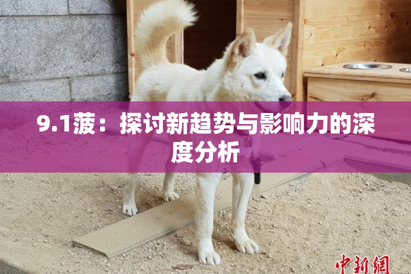 9.1菠：探讨新趋势与影响力的深度分析