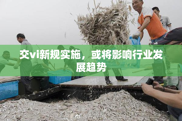 交vi新规实施，或将影响行业发展趋势