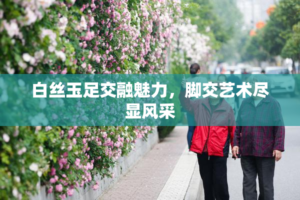 白丝玉足交融魅力，脚交艺术尽显风采