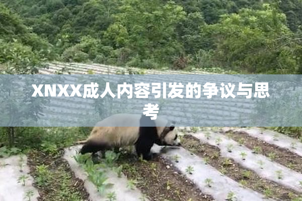 XNXX成人内容引发的争议与思考