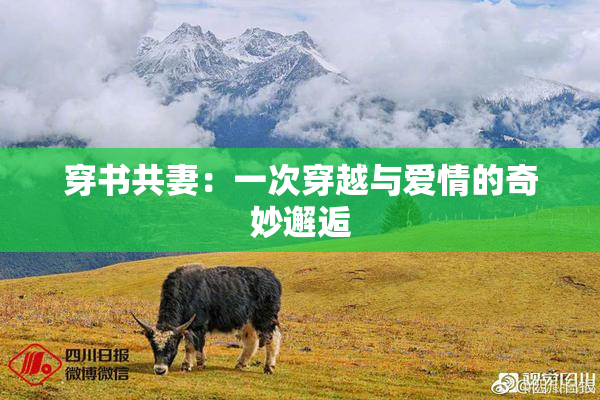 穿书共妻：一次穿越与爱情的奇妙邂逅