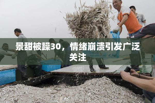 景甜被躁30，情绪崩溃引发广泛关注