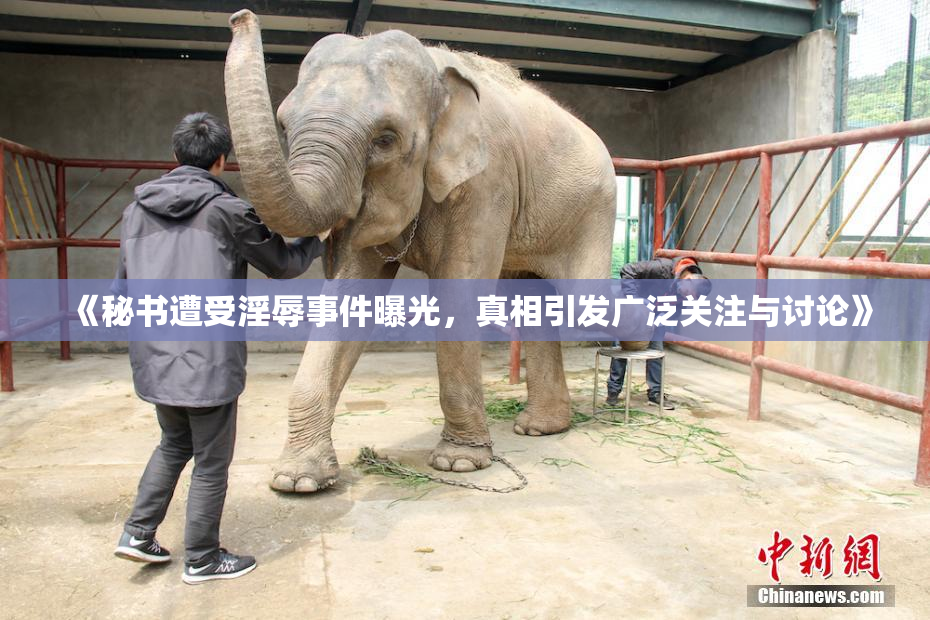 《秘书遭受淫辱事件曝光，真相引发广泛关注与讨论》