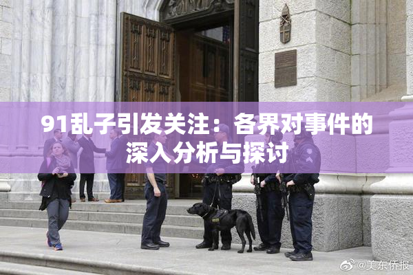 91乱子引发关注：各界对事件的深入分析与探讨