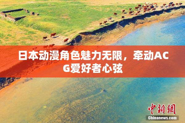 日本动漫角色魅力无限，牵动ACG爱好者心弦