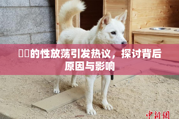 妺妺的性放荡引发热议，探讨背后原因与影响