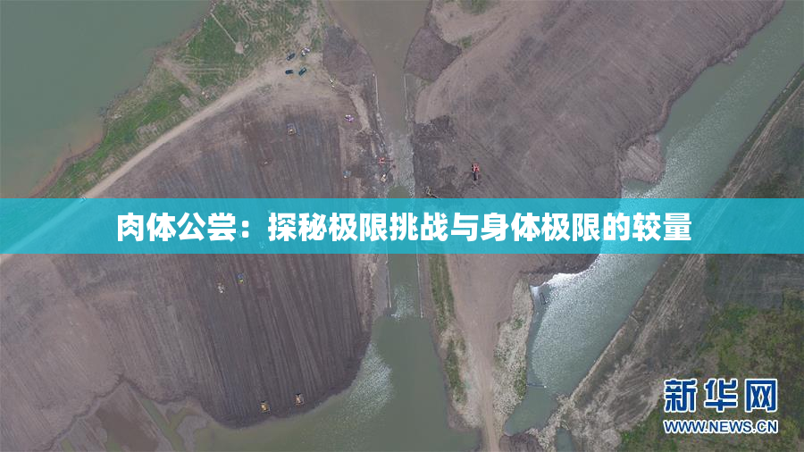 肉体公尝：探秘极限挑战与身体极限的较量